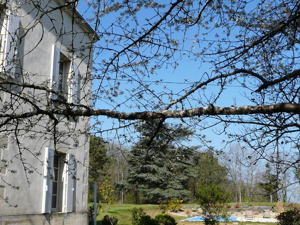 Chateau De La Comtesse Saint-Martin-Petit Exteriér fotografie